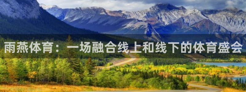 雨燕体育：一场融合线上和线下的体育盛会
