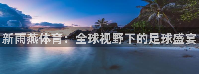 新雨燕体育：全球视野下的足球盛宴