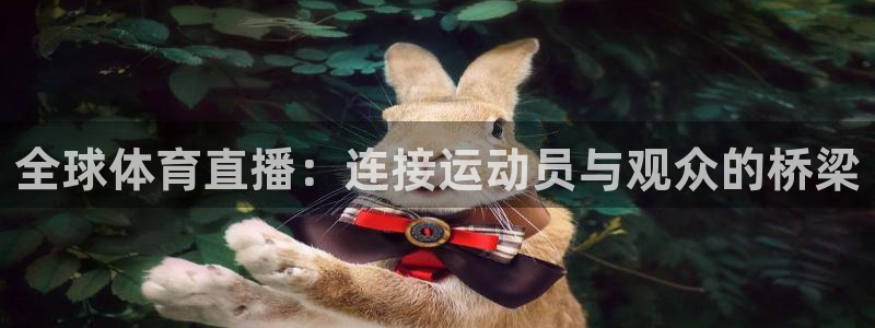 全球体育直播：连接运动员与观众的桥梁