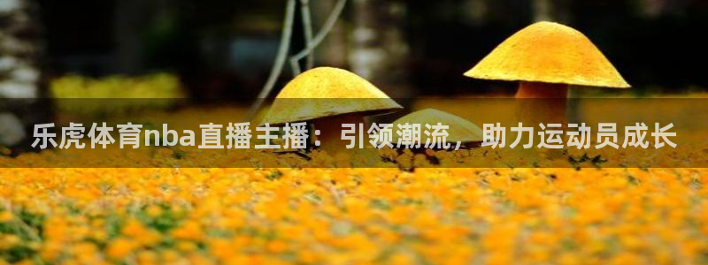 乐虎体育nba直播主播：引领潮流，助力运动员成长