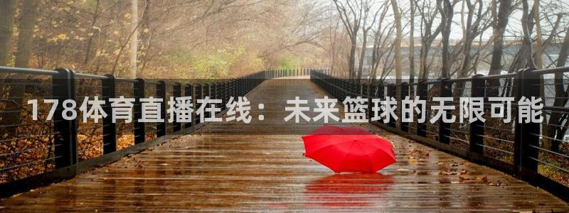 178体育直播在线：未来篮球的无限可能