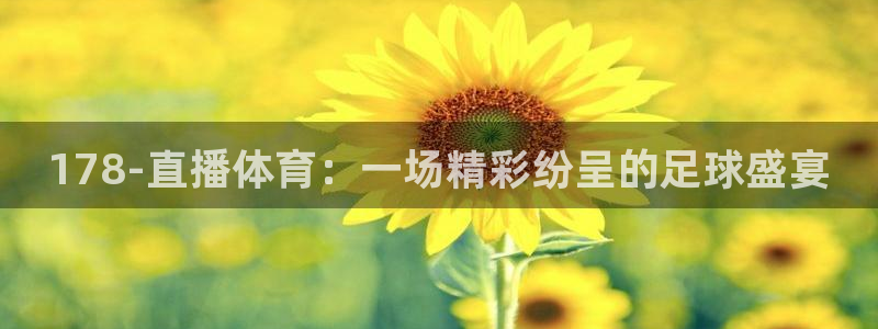 178-直播体育：一场精彩纷呈的足球盛宴