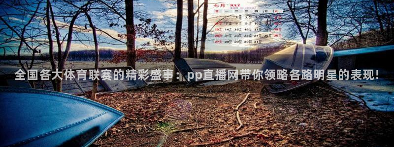 全国各大体育联赛的精彩盛事：pp直播网带你领略各路明星的表现!