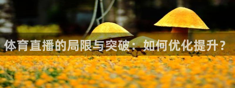 体育直播的局限与突破：如何优化提升？