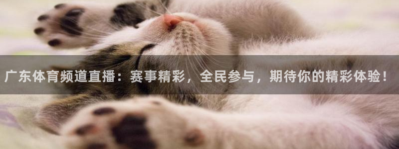 广东体育频道直播：赛事精彩，全民参与，期待你的精彩体验！