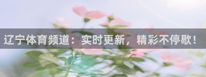 辽宁体育频道：实时更新，精彩不停歇！