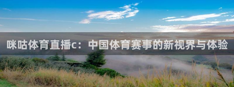 咪咕体育直播c：中国体育赛事的新视界与体验