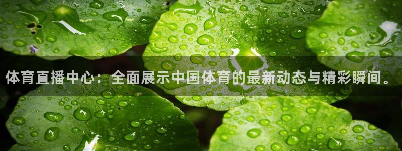 体育直播中心：全面展示中国体育的最新动态与精彩瞬间。