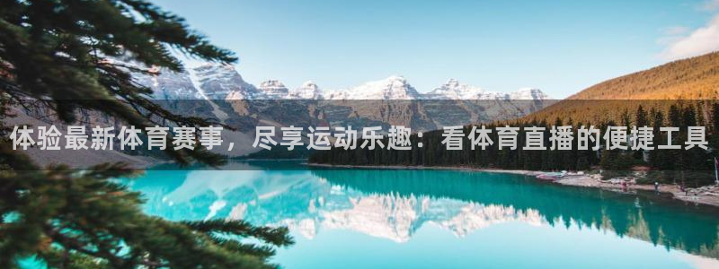 体验最新体育赛事，尽享运动乐趣：看体育直播的便捷工具