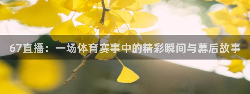 67直播：一场体育赛事中的精彩瞬间与幕后故事