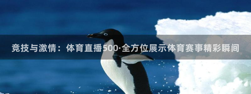 竞技与激情：体育直播500·全方位展示体育赛事精彩瞬间