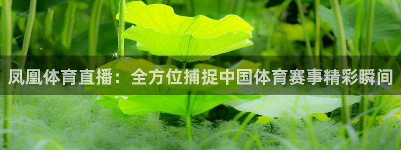 凤凰体育直播：全方位捕捉中国体育赛事精彩瞬间