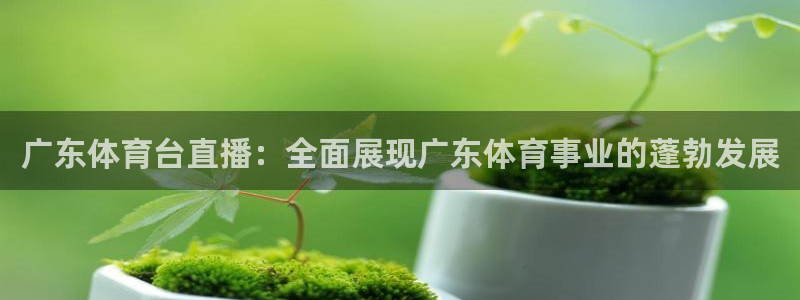 广东体育台直播：全面展现广东体育事业的蓬勃发展