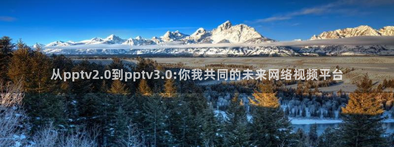 从pptv2.0到pptv3.0:你我共同的未来网络视频平台