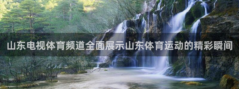 山东电视体育频道全面展示山东体育运动的精彩瞬间