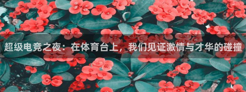 超级电竞之夜：在体育台上，我们见证激情与才华的碰撞