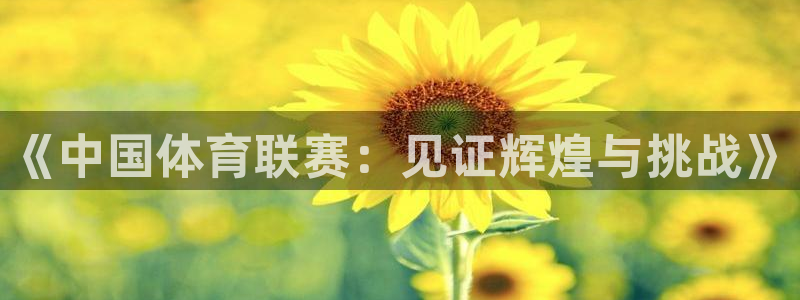 《中国体育联赛：见证辉煌与挑战》
