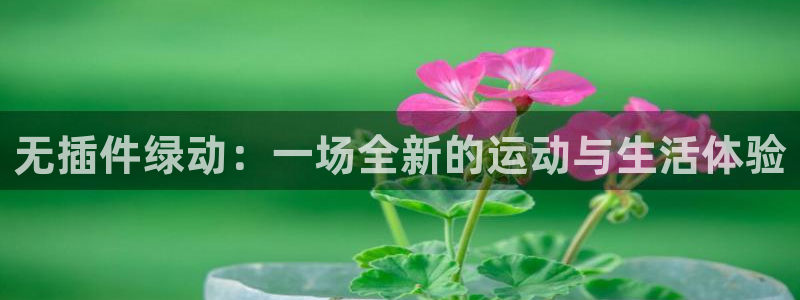 无插件绿动：一场全新的运动与生活体验