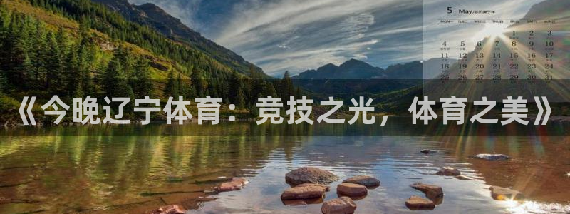 《今晚辽宁体育：竞技之光，体育之美》