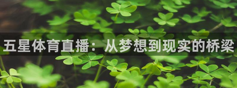 五星体育直播：从梦想到现实的桥梁