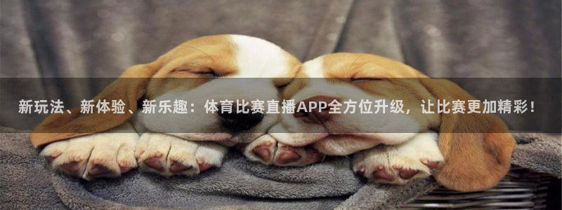 新玩法、新体验、新乐趣：体育比赛直播APP全方位升级，让比赛更加精彩！