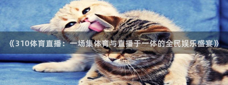 《310体育直播：一场集体育与直播于一体的全民娱乐盛宴》