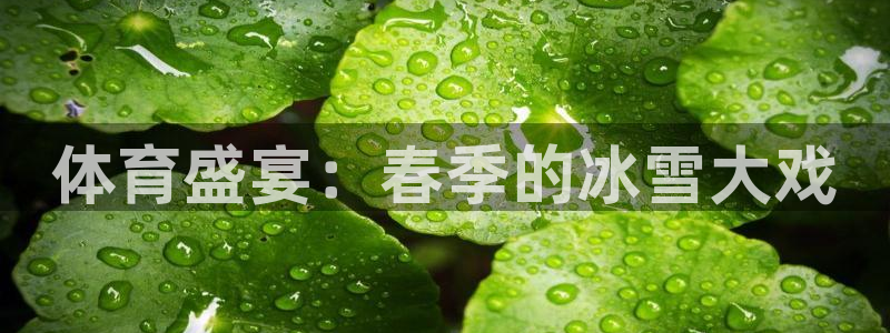 体育盛宴：春季的冰雪大戏
