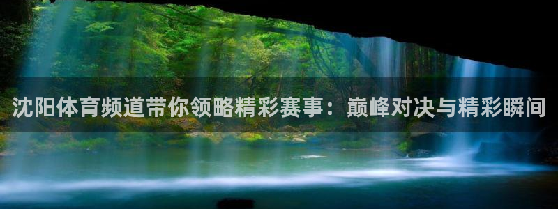 沈阳体育频道带你领略精彩赛事：巅峰对决与精彩瞬间