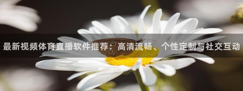 最新视频体育直播软件推荐：高清流畅、个性定制与社交互动
