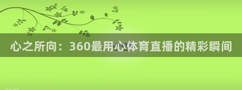 心之所向：360最用心体育直播的精彩瞬间
