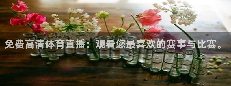 免费高清体育直播：观看您最喜欢的赛事与比赛。