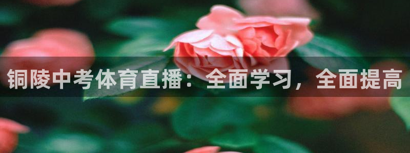 铜陵中考体育直播：全面学习，全面提高