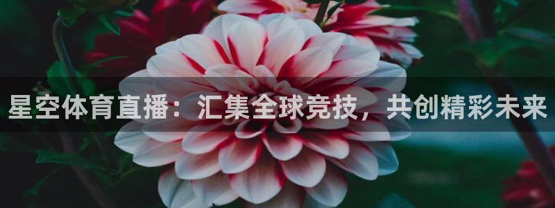 星空体育直播：汇集全球竞技，共创精彩未来