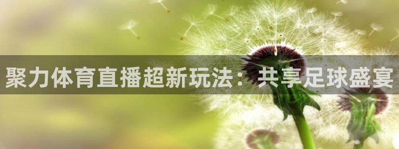 聚力体育直播超新玩法：共享足球盛宴