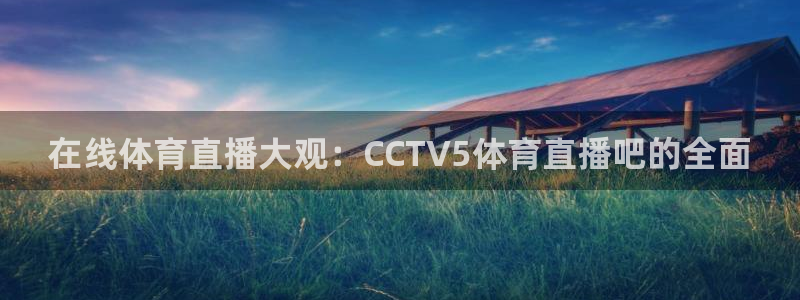 在线体育直播大观：CCTV5体育直播吧的全面