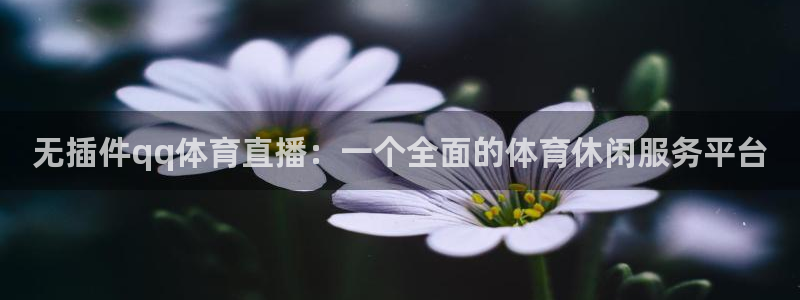 无插件qq体育直播：一个全面的体育休闲服务平台