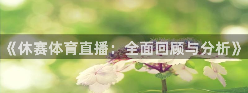 《休赛体育直播：全面回顾与分析》