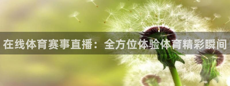 在线体育赛事直播：全方位体验体育精彩瞬间