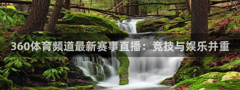 360体育频道最新赛事直播：竞技与娱乐并重