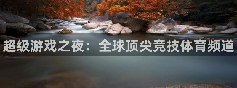 超级游戏之夜：全球顶尖竞技体育频道