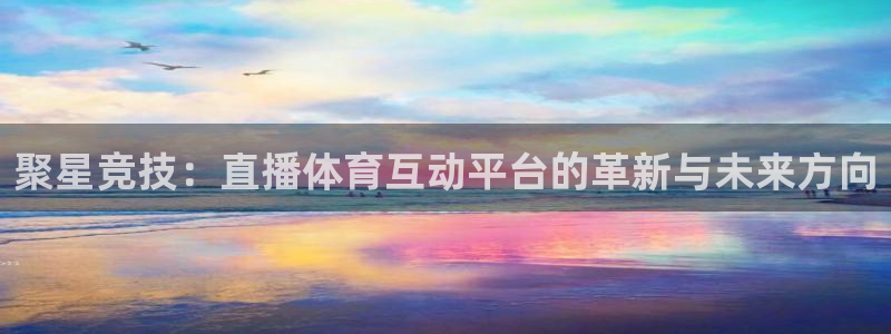 聚星竞技：直播体育互动平台的革新与未来方向